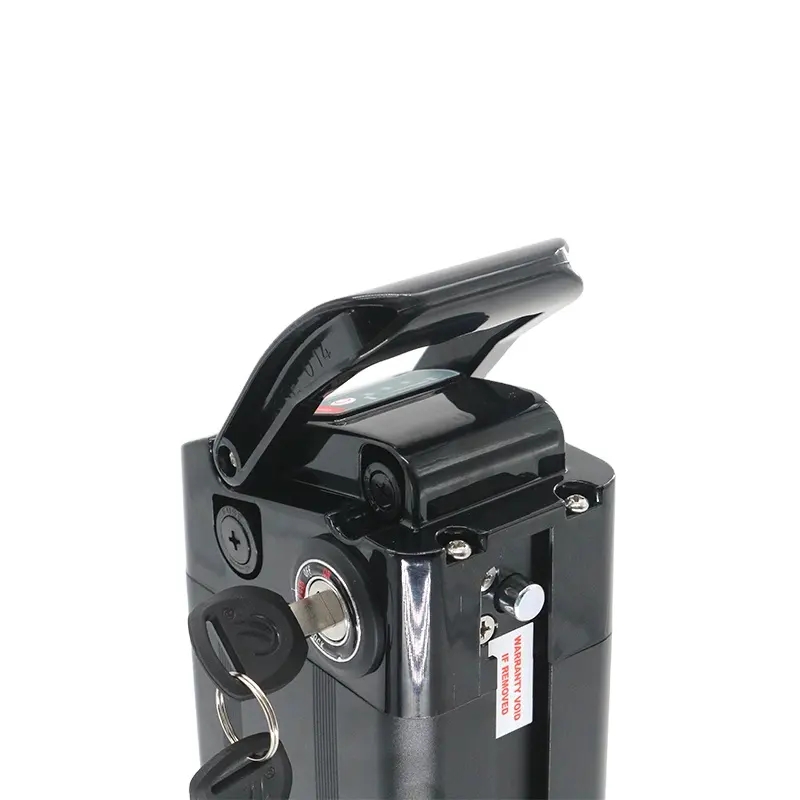 Lithium Bike Battery