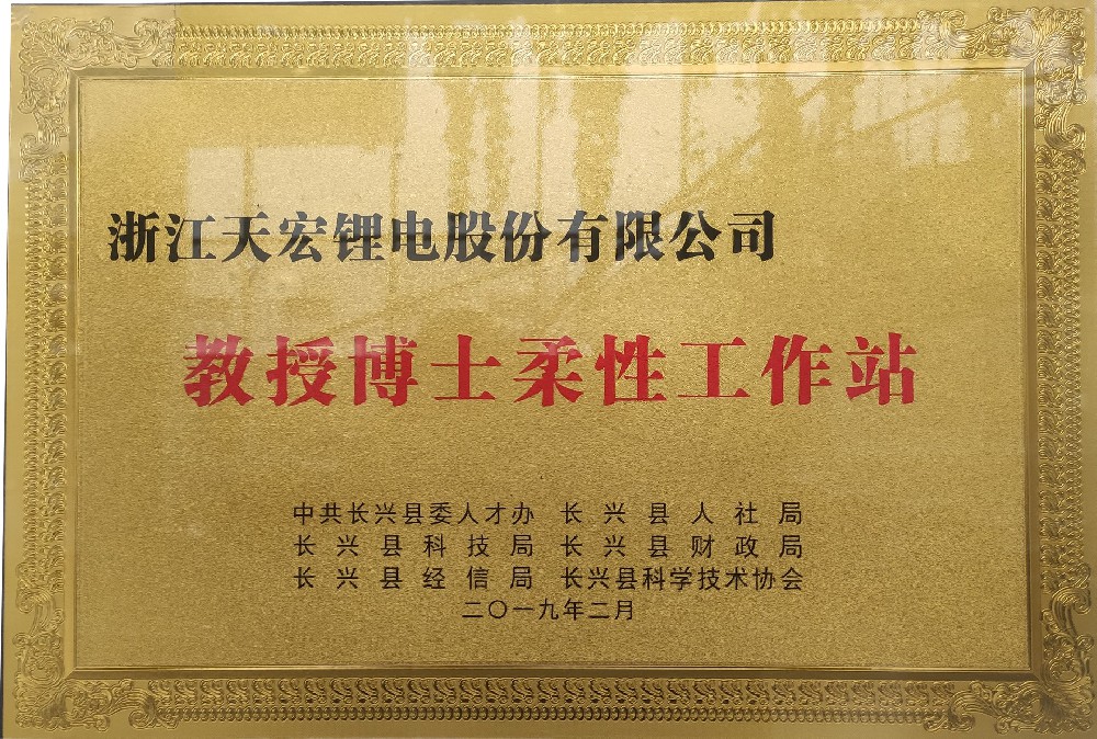 Professor PhD flexible workstation