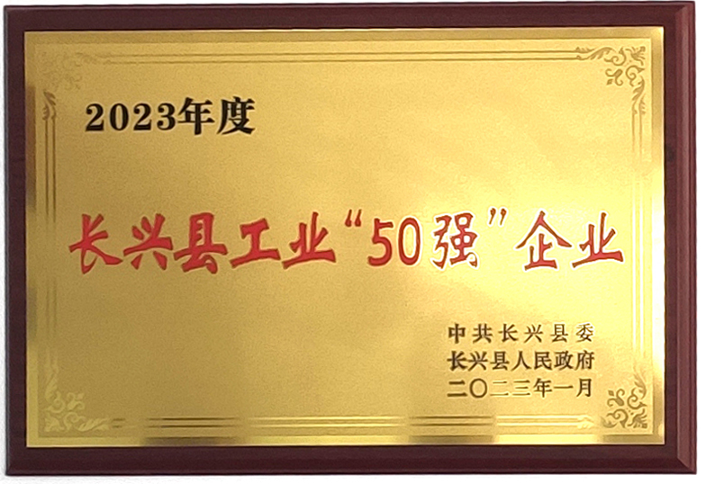 Top 50 of Changxing Industry